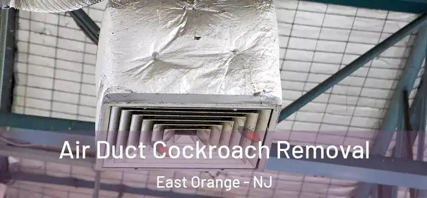  Air Duct Cockroach Removal East Orange - NJ
