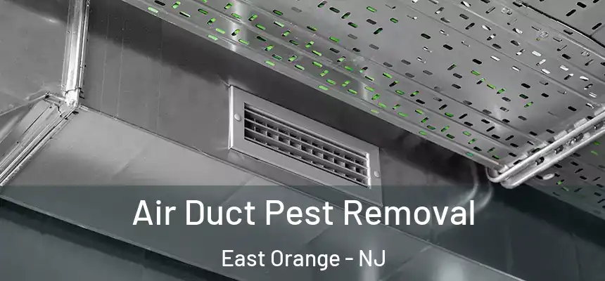 Air Duct Pest Removal East Orange - NJ