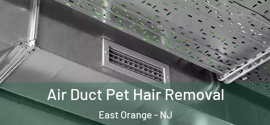 Air Duct Pet Hair Removal East Orange - NJ