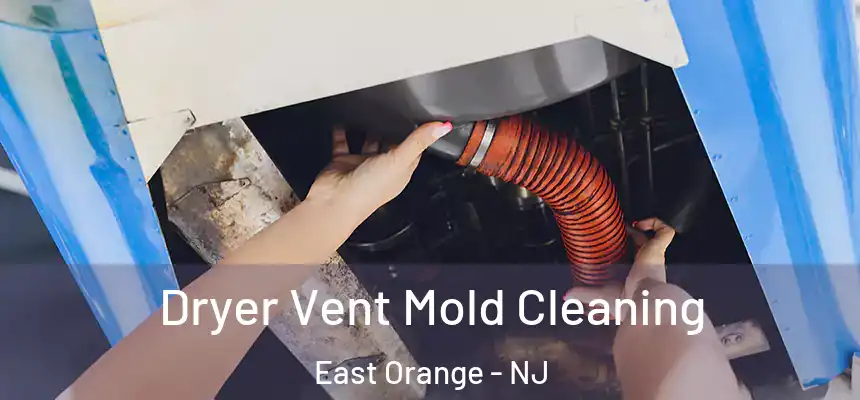 Dryer Vent Mold Cleaning East Orange - NJ