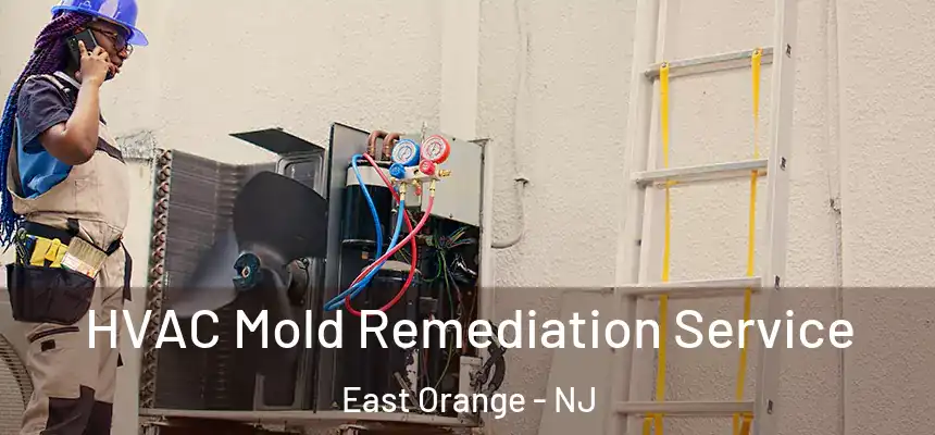HVAC Mold Remediation Service East Orange - NJ