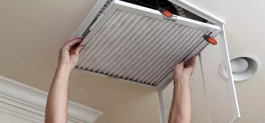 Preventive Cockroach-Proofing for Ducts in East Orange