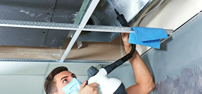 Our Air Duct Rodent Removal Services in East Orange, NJ