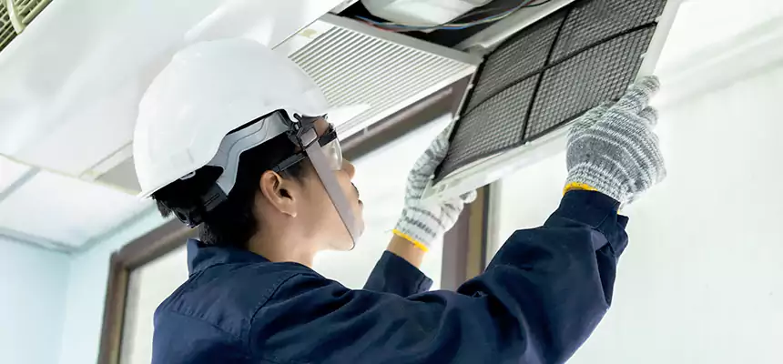 Our Mold & Mildew Removal from Air Ducts Services in East Orange, NJ