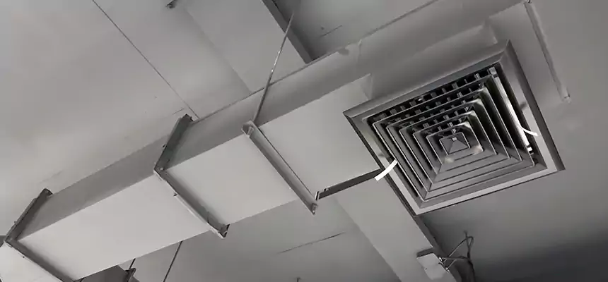 Our Rodent Droppings In Vents Services in East Orange, NJ