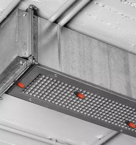 About Air Duct Cockroach Removal in East Orange, NJ