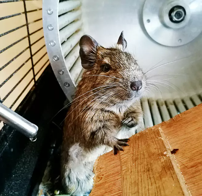 Why Homeowners & Businesses Trust Us East Orange, NJ