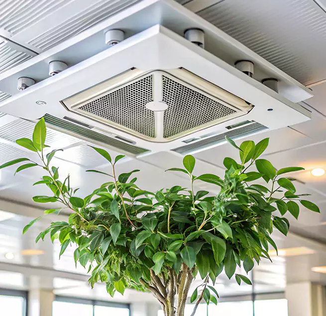 Why Homeowners & Businesses Trust Us in East Orange, NJ?