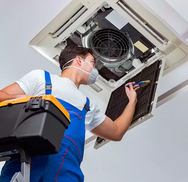 Why Homeowners & Businesses Trust Us in East Orange, NJ?