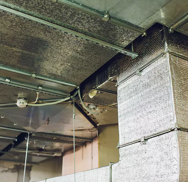 Why Homeowners & Businesses Trust Us in East Orange, NJ?