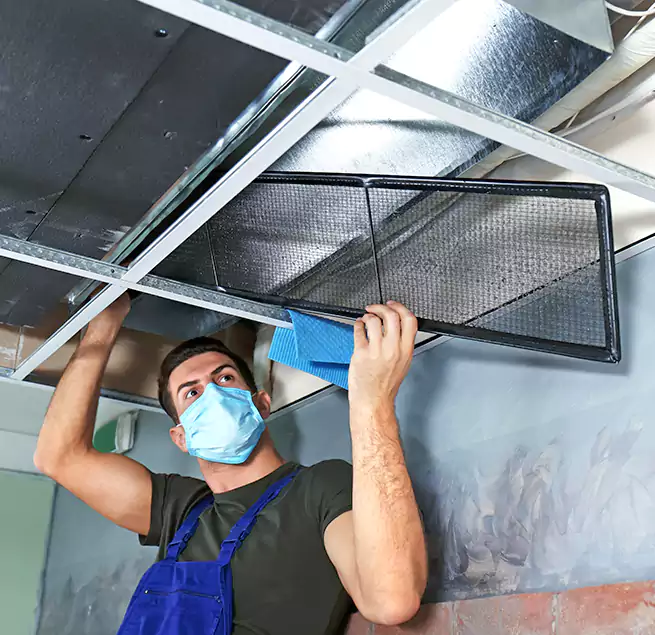 Why Homeowners Businesses Trust Us in East Orange, NJ